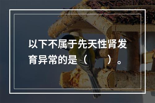 以下不属于先天性肾发育异常的是（　　）。