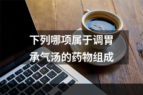 下列哪项属于调胃承气汤的药物组成