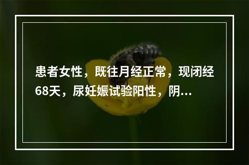 患者女性，既往月经正常，现闭经68天，尿妊娠试验阳性，阴道