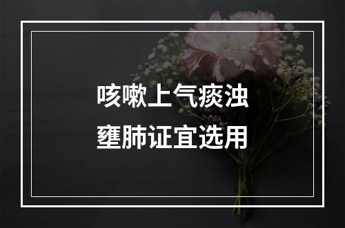 咳嗽上气痰浊壅肺证宜选用