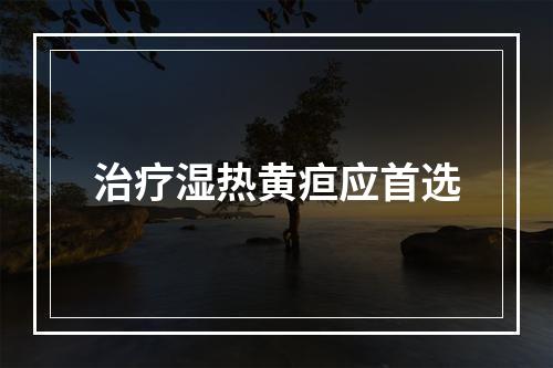 治疗湿热黄疸应首选