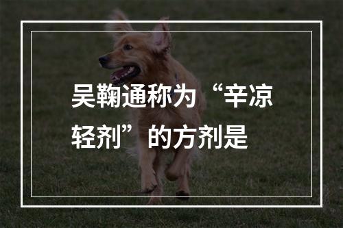 吴鞠通称为“辛凉轻剂”的方剂是