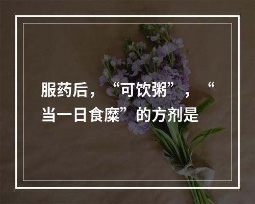 服药后，“可饮粥”，“当一日食糜”的方剂是