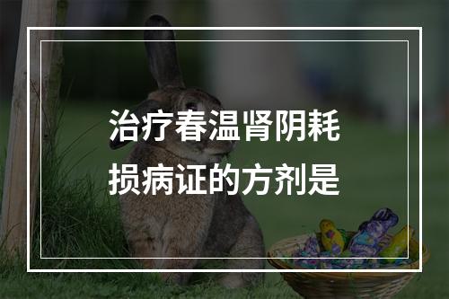 治疗春温肾阴耗损病证的方剂是