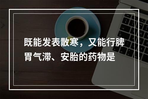 既能发表散寒，又能行脾胃气滞、安胎的药物是