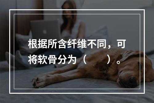 根据所含纤维不同，可将软骨分为（　　）。