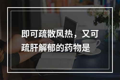 即可疏散风热，又可疏肝解郁的药物是