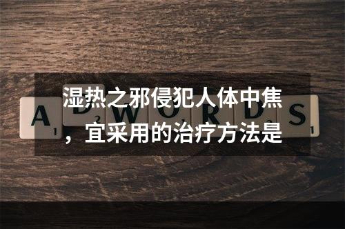 湿热之邪侵犯人体中焦，宜采用的治疗方法是