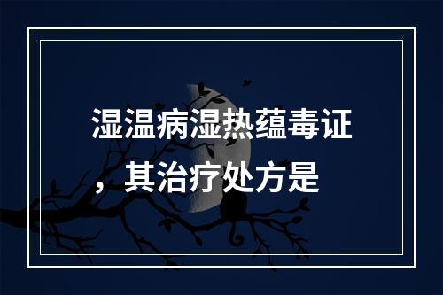 湿温病湿热蕴毒证，其治疗处方是