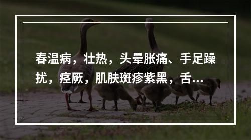 春温病，壮热，头晕胀痛、手足躁扰，痉厥，肌肤斑疹紫黑，舌质深