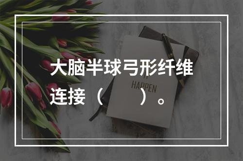 大脑半球弓形纤维连接（　　）。