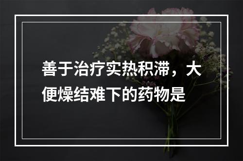 善于治疗实热积滞，大便燥结难下的药物是