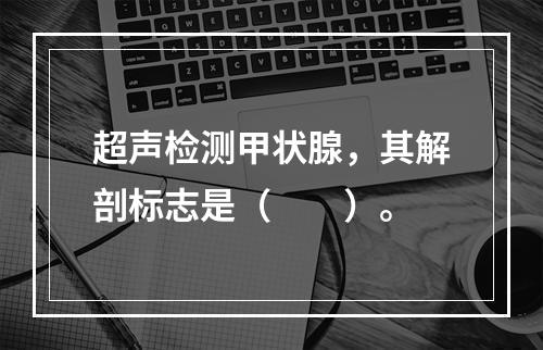 超声检测甲状腺，其解剖标志是（　　）。