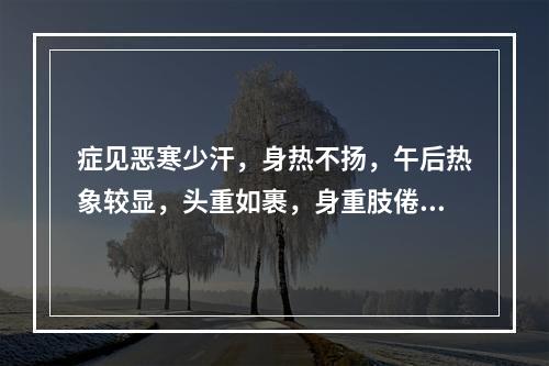 症见恶寒少汗，身热不扬，午后热象较显，头重如裹，身重肢倦，胸