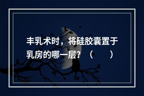 丰乳术时，将硅胶囊置于乳房的哪一层？（　　）