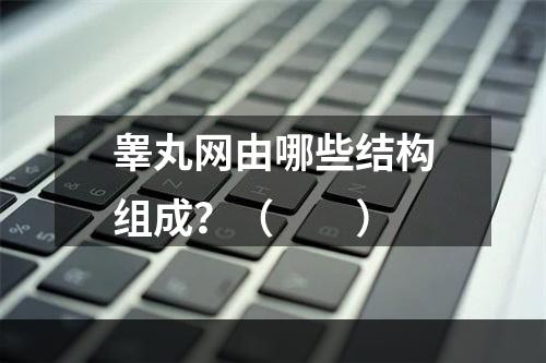 睾丸网由哪些结构组成？（　　）