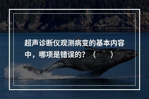 超声诊断仪观测病变的基本内容中，哪项是错误的？（　　）