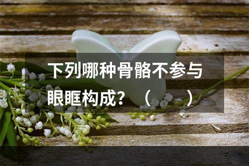 下列哪种骨骼不参与眼眶构成？（　　）