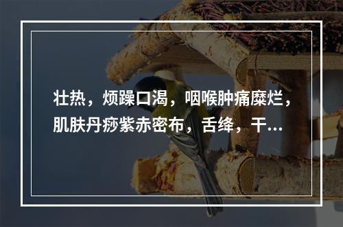 壮热，烦躁口渴，咽喉肿痛糜烂，肌肤丹痧紫赤密布，舌绛，干燥起