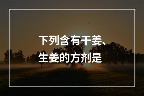 下列含有干姜、生姜的方剂是