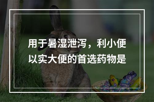 用于暑湿泄泻，利小便以实大便的首选药物是