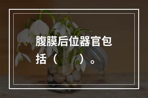 腹膜后位器官包括（　　）。