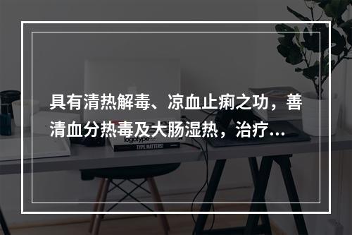 具有清热解毒、凉血止痢之功，善清血分热毒及大肠湿热，治疗热毒