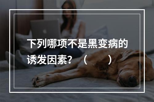 下列哪项不是黑变病的诱发因素？（　　）