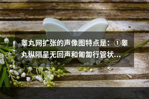 睾丸网扩张的声像图特点是：①睾丸纵隔呈无回声和匍匐行管状结