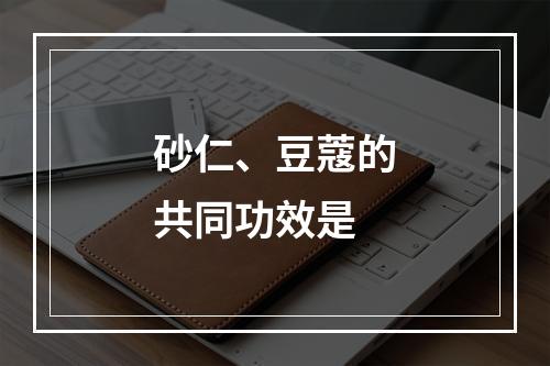 砂仁、豆蔻的共同功效是