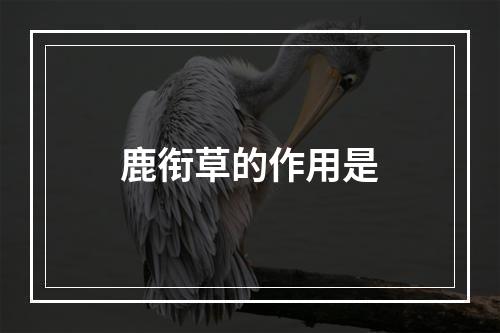 鹿衔草的作用是