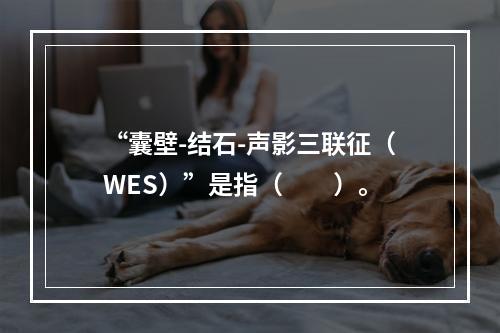 “囊壁-结石-声影三联征（WES）”是指（　　）。