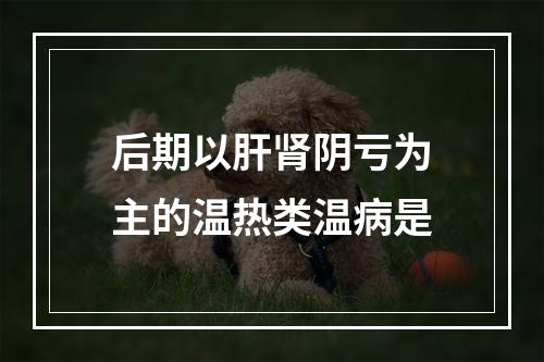 后期以肝肾阴亏为主的温热类温病是