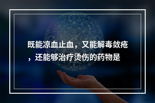 既能凉血止血，又能解毒敛疮，还能够治疗烫伤的药物是