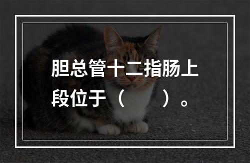 胆总管十二指肠上段位于（　　）。