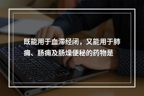 既能用于血滞经闭，又能用于肺痈、肠痈及肠燥便秘的药物是