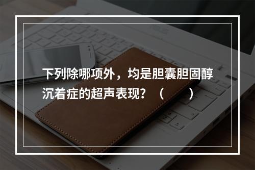 下列除哪项外，均是胆囊胆固醇沉着症的超声表现？（　　）