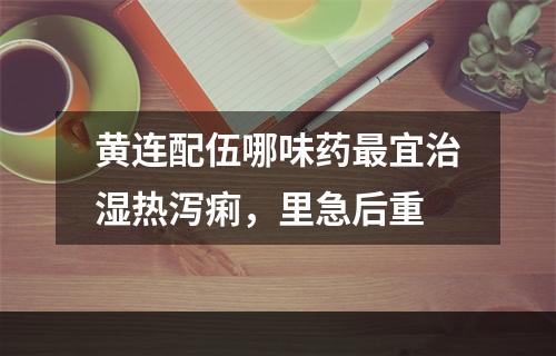 黄连配伍哪味药最宜治湿热泻痢，里急后重