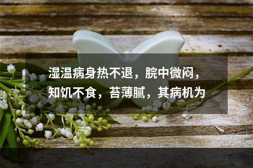 湿温病身热不退，脘中微闷，知饥不食，苔薄腻，其病机为