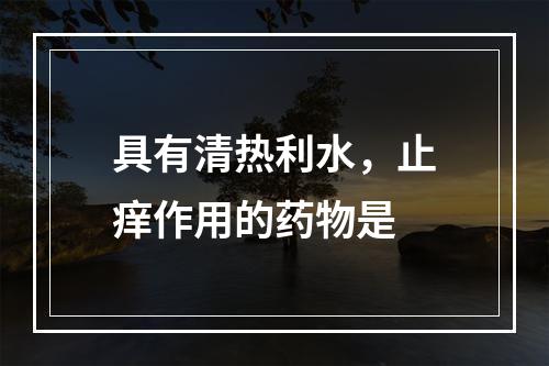 具有清热利水，止痒作用的药物是