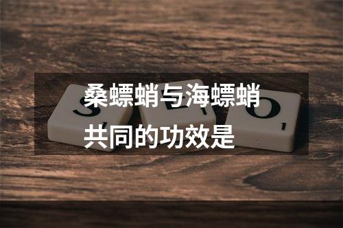 桑螵蛸与海螵蛸共同的功效是