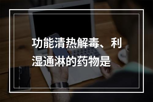 功能清热解毒、利湿通淋的药物是