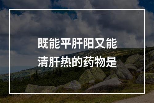 既能平肝阳又能清肝热的药物是