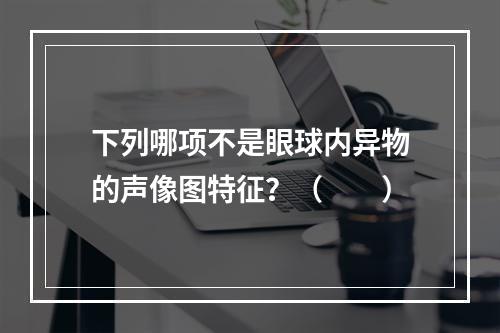 下列哪项不是眼球内异物的声像图特征？（　　）