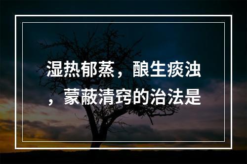 湿热郁蒸，酿生痰浊，蒙蔽清窍的治法是