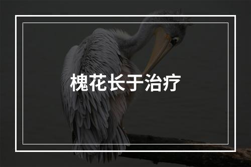 槐花长于治疗