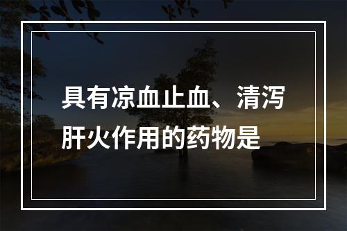 具有凉血止血、清泻肝火作用的药物是