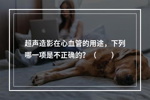 超声造影在心血管的用途，下列哪一项是不正确的？（　　）