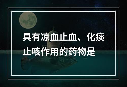 具有凉血止血、化痰止咳作用的药物是