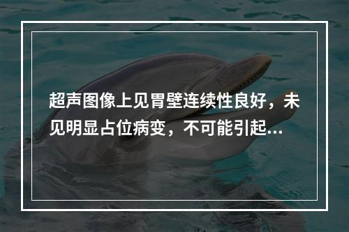 超声图像上见胃壁连续性良好，未见明显占位病变，不可能引起上述